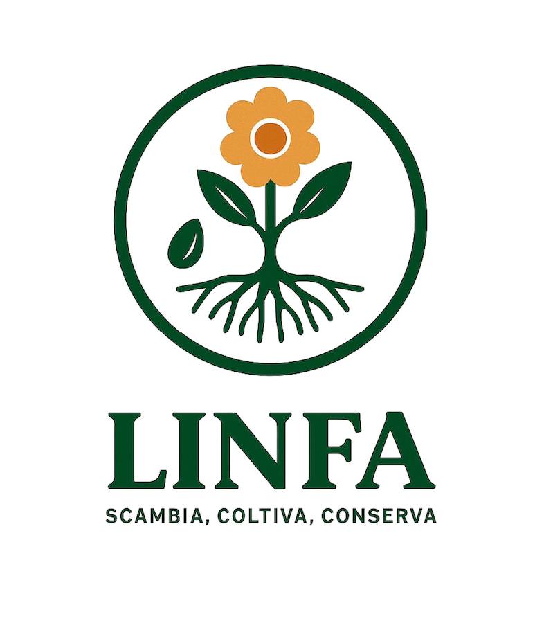 Logo LINFA